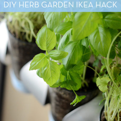 Indoor herb garden IKEA hack