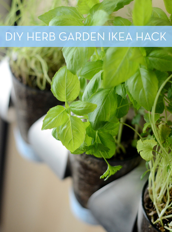 Indoor herb garden IKEA hack