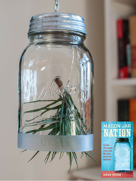 Hanging air plant planter for Pinterest