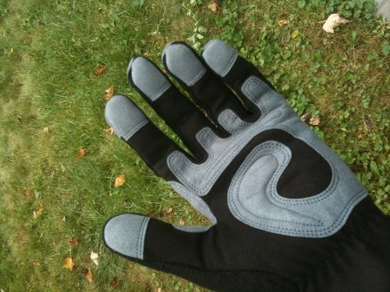 A hand wearing a black and grey glove.