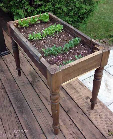 farm table turned raised lettuce bed