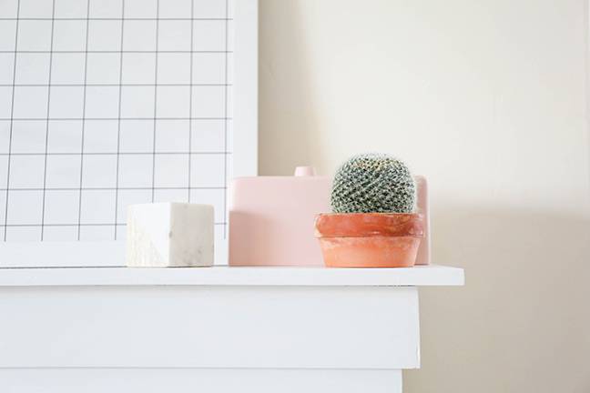 Tips for decorating with cactus 