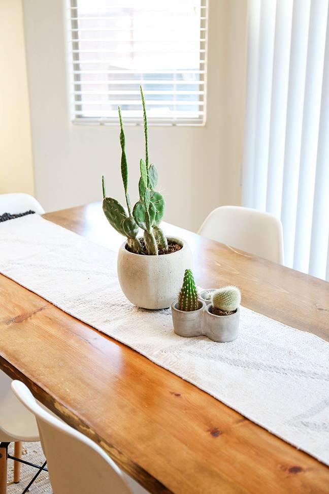 Tips For Decorating With Cactus