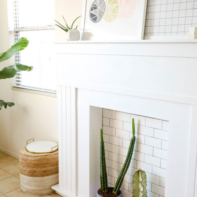 Tips For Decorating With Cactus