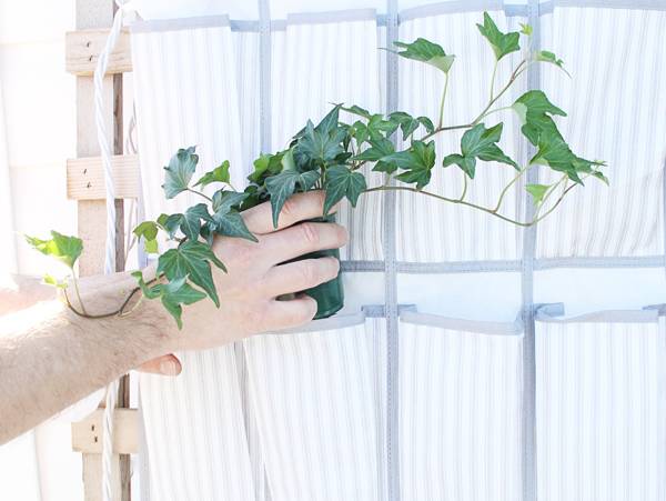 Turn a Shoe Organizer into a Vertical Planter 