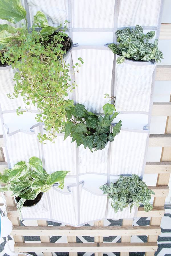 Turn a Shoe Organizer into a Vertical Garden Planter Curbly