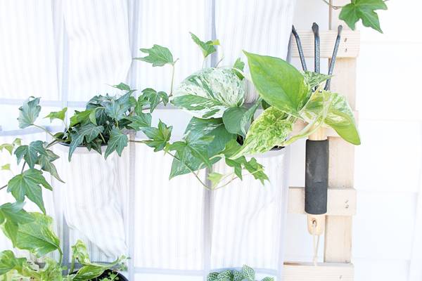 Turn a Shoe Organizer into a Vertical Planter