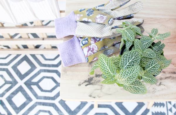 Turn a Shoe Organizer into a Vertical Planter