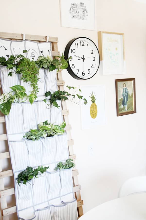 Turn a Shoe Organizer into a Vertical Planter