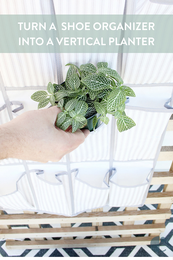 Turn a Shoe Organizer into a Vertical Garden Planter Curbly