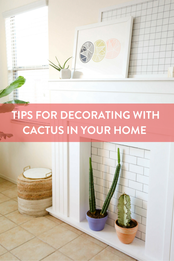 Tips for Decorating with Cactus 