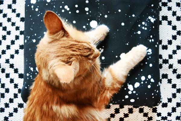 An orange and white cat is sitting on a black blanket.