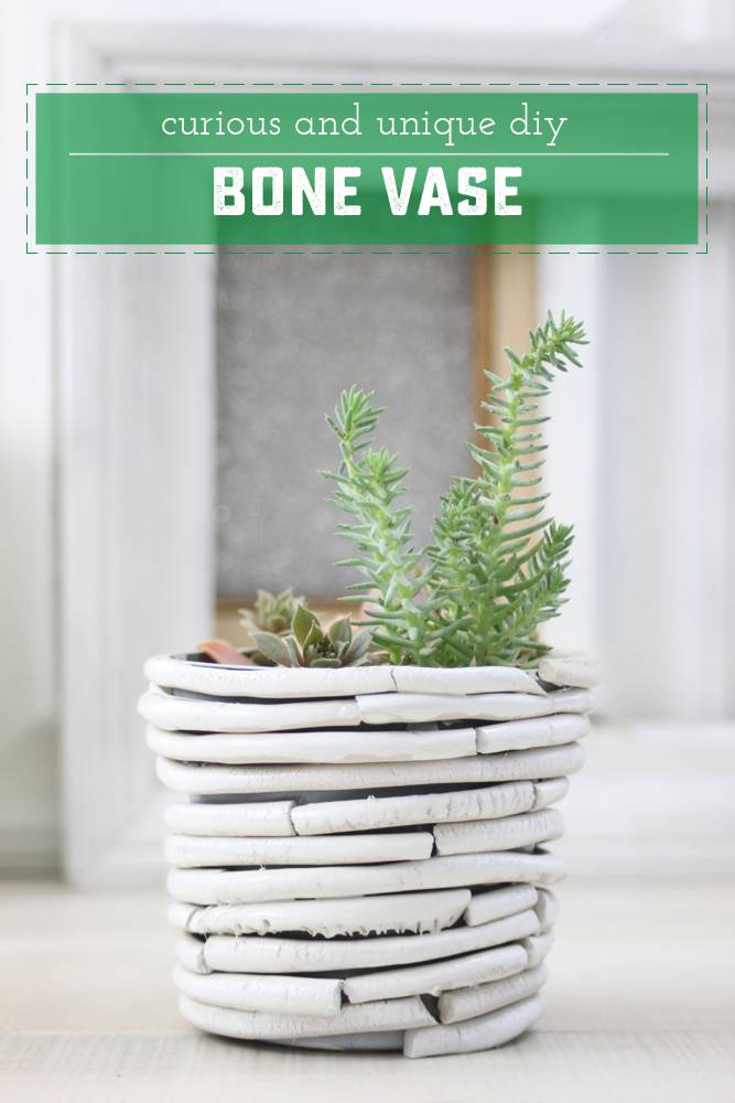 Beautiful DIY Bone Vase - a perfect and unique addition to any home's decor!
