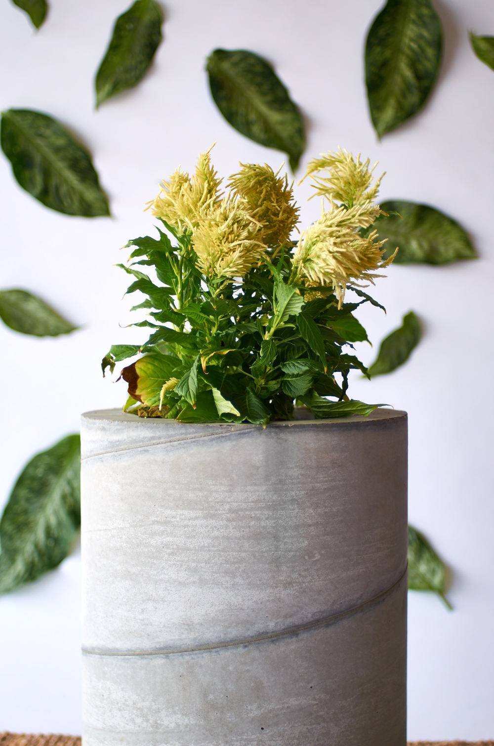 DIY large planter made of cement