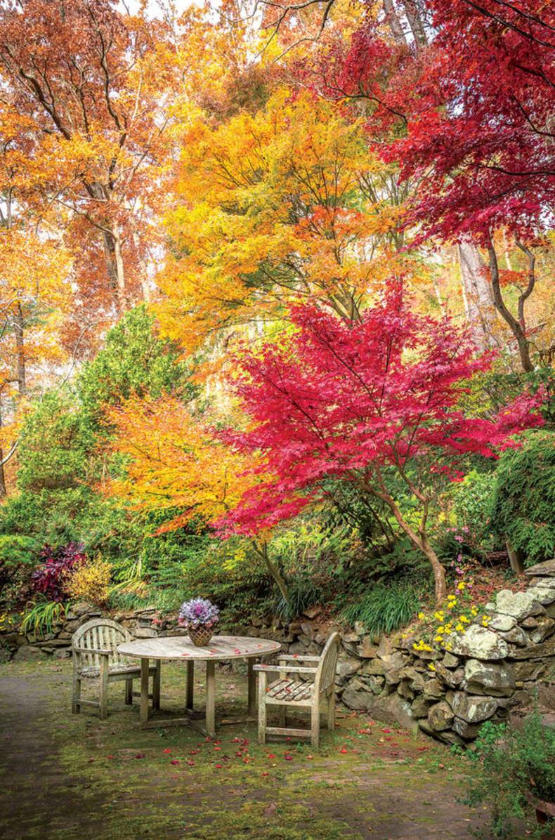 10 Incredibly Inspiring Fall Flower Gardens