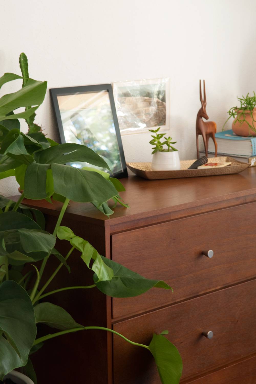 Pictures are set up on a dresser with a plant next to it.