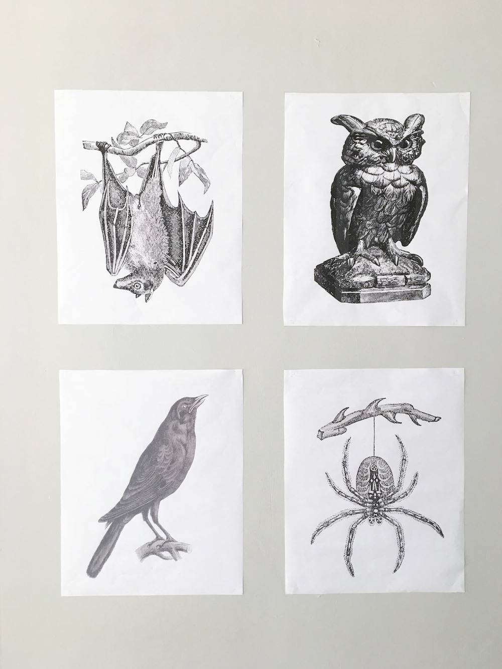 How To: Make Your Own Stylishly Spooky Decorations with Vintage Halloween Printables - Curbly how-to-make-your-own-stylishly-spooky-decorations-with-vintage-halloween-printables-curbly