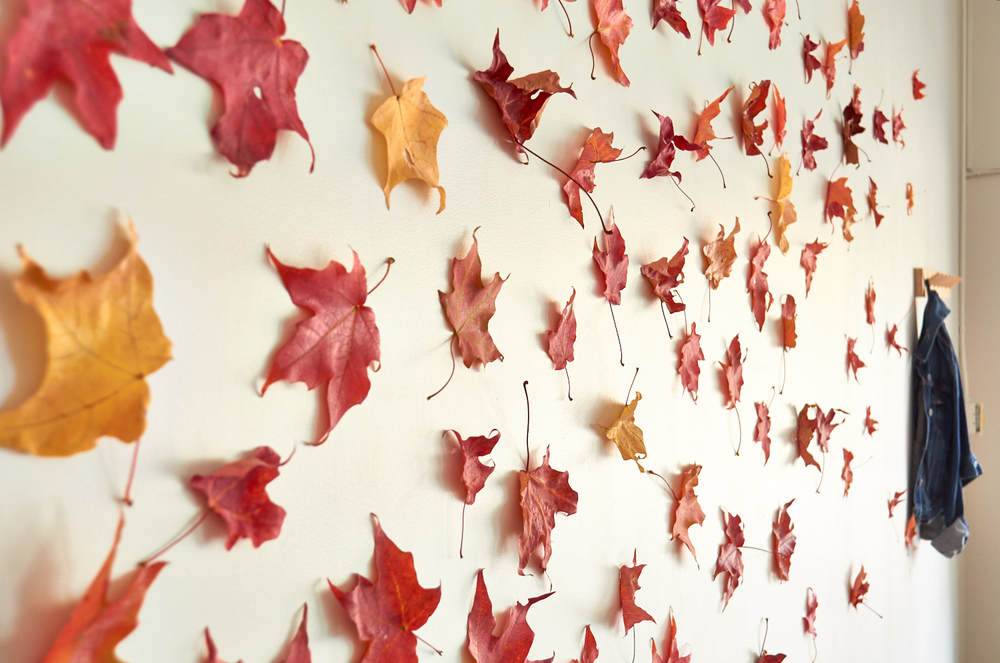 Leaves decorating an otherwise white wall.