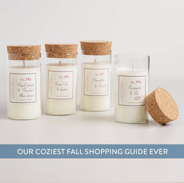Cozy Fall Shopping Guide