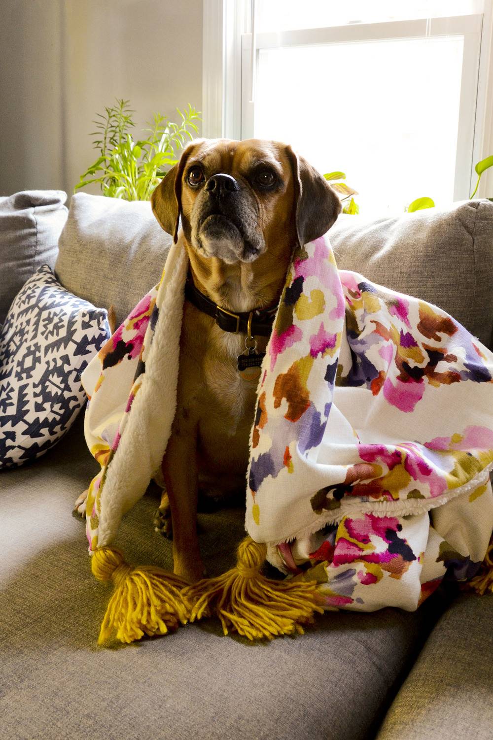 Sewing 101: How to Make a Cozy Faux Fur Throw Blanket For Fall