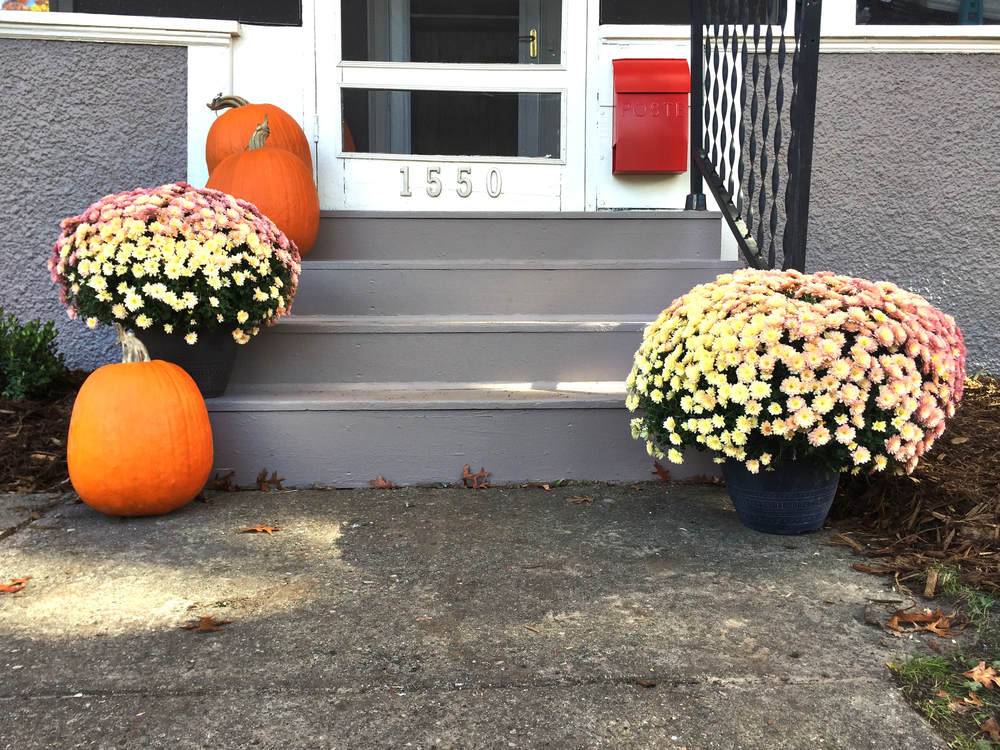 front step with red mailbox and mums