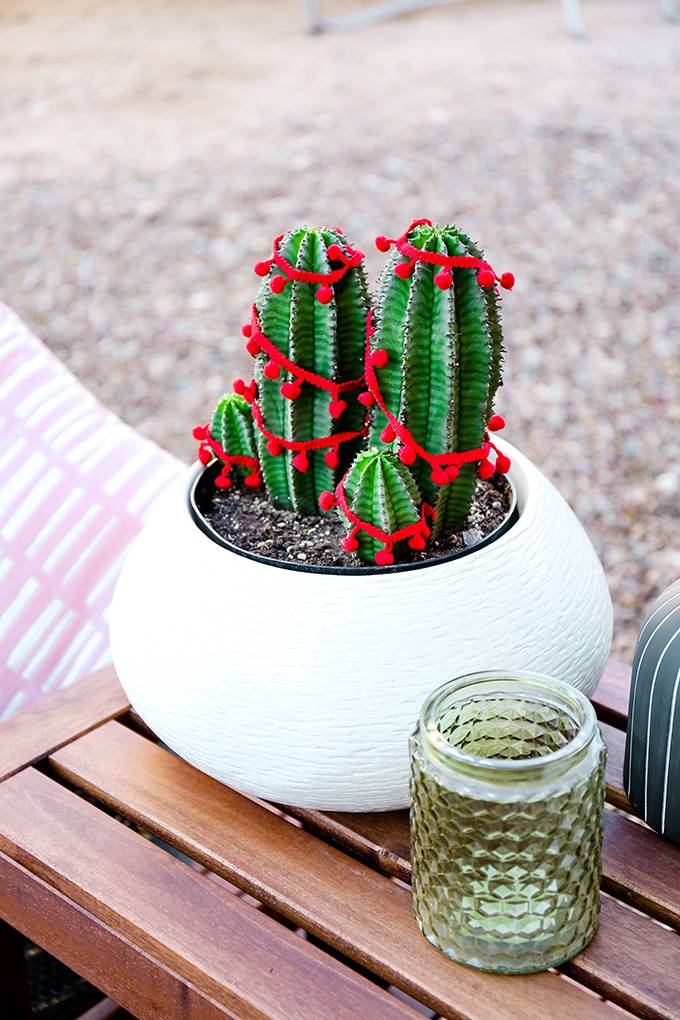 How to: Make Year-Round Plants Look Good for the Holidays