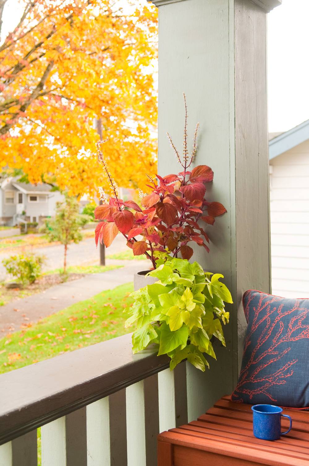 A cup sits on the bench near a column on a porch.