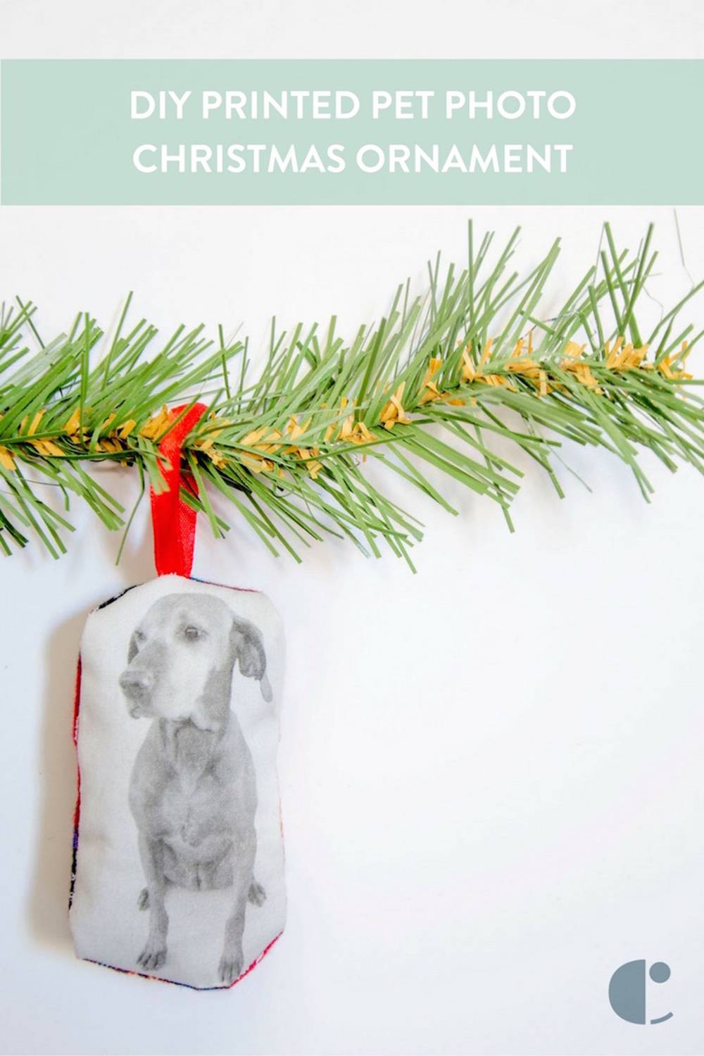 DIY Printed Pet Christmas Ornament