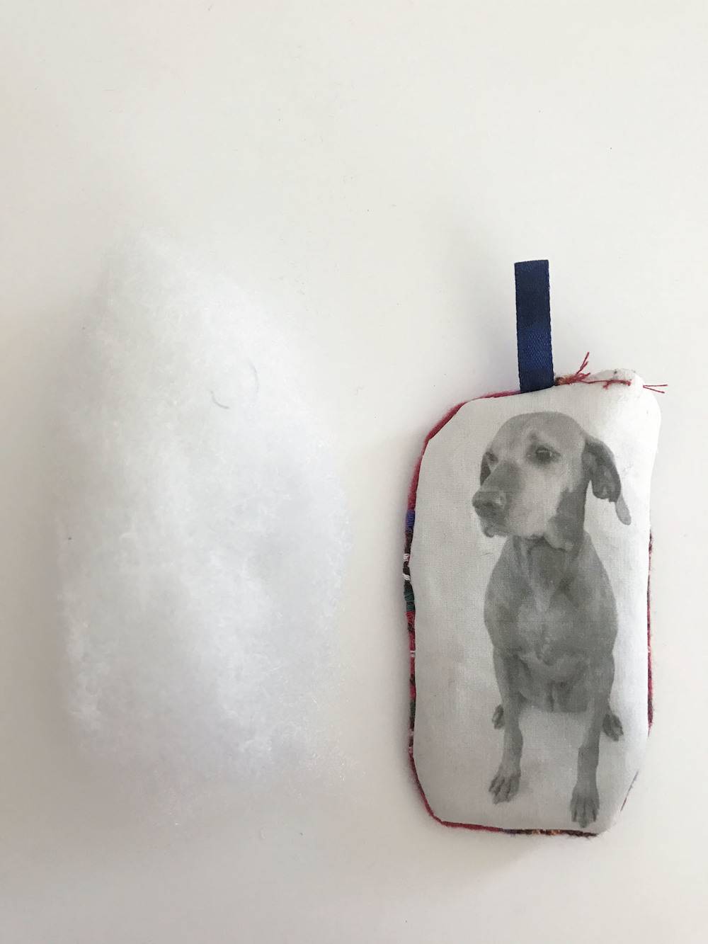 DIY Printed Pet Christmas Ornament