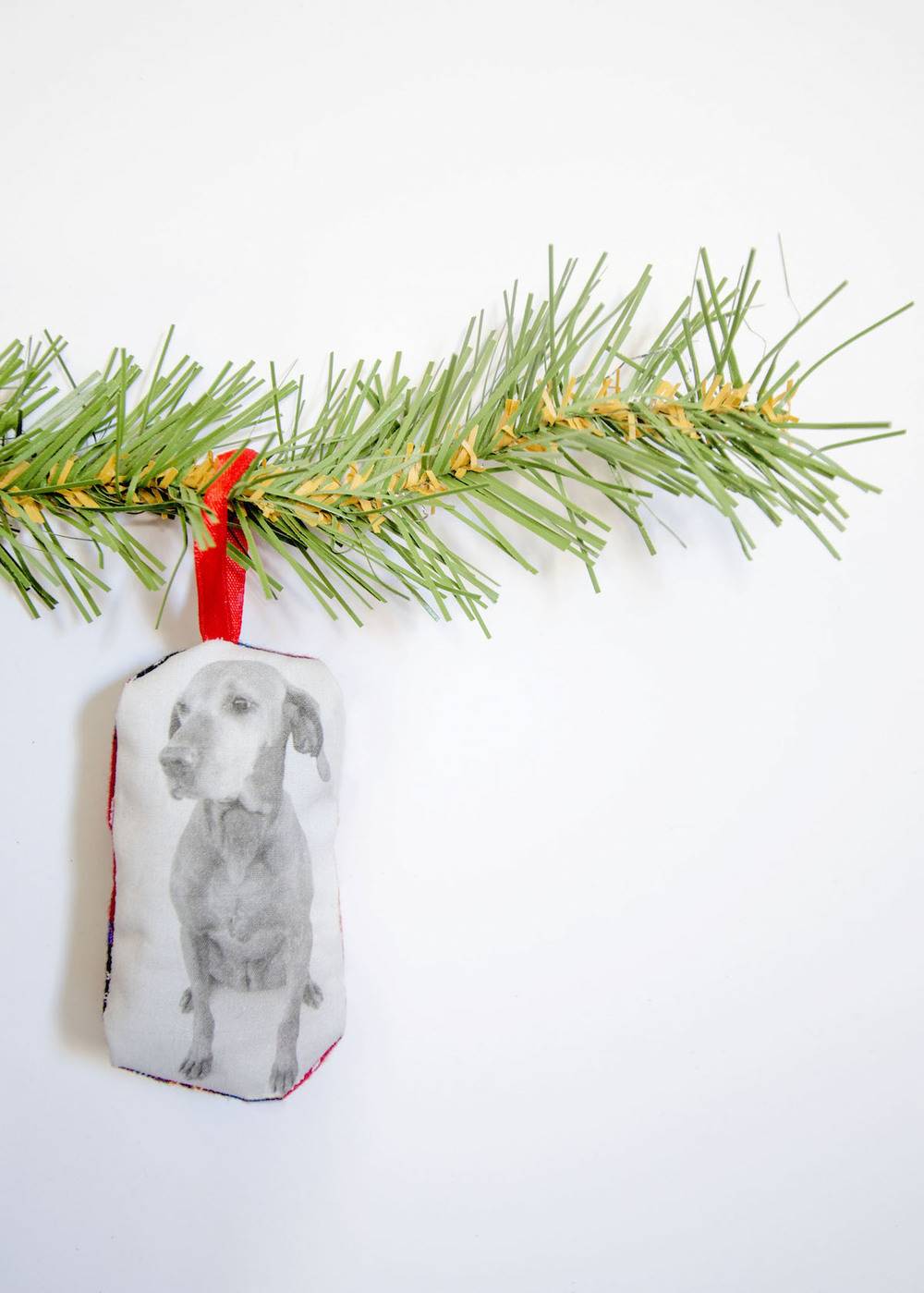 DIY Printed Pet Christmas Ornament