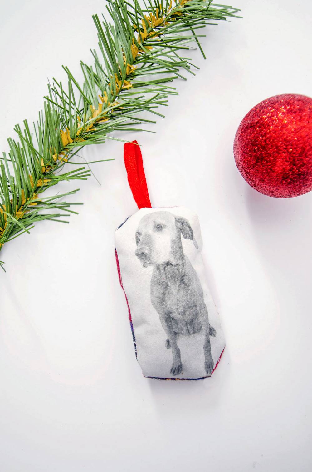 DIY Printed Pet Christmas Ornament