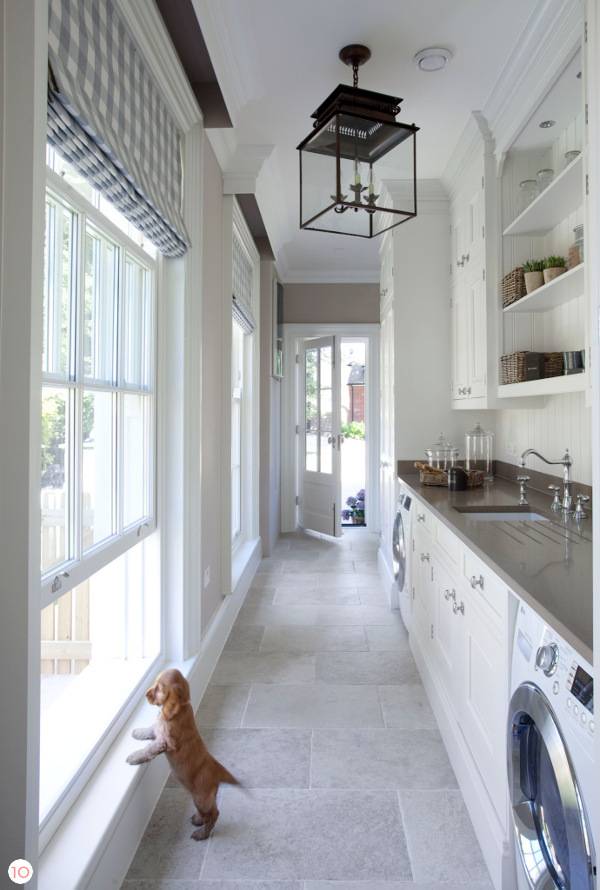 A small puppy looks out of a hallway window.