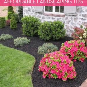 13 Tips For Landscaping On A Budget