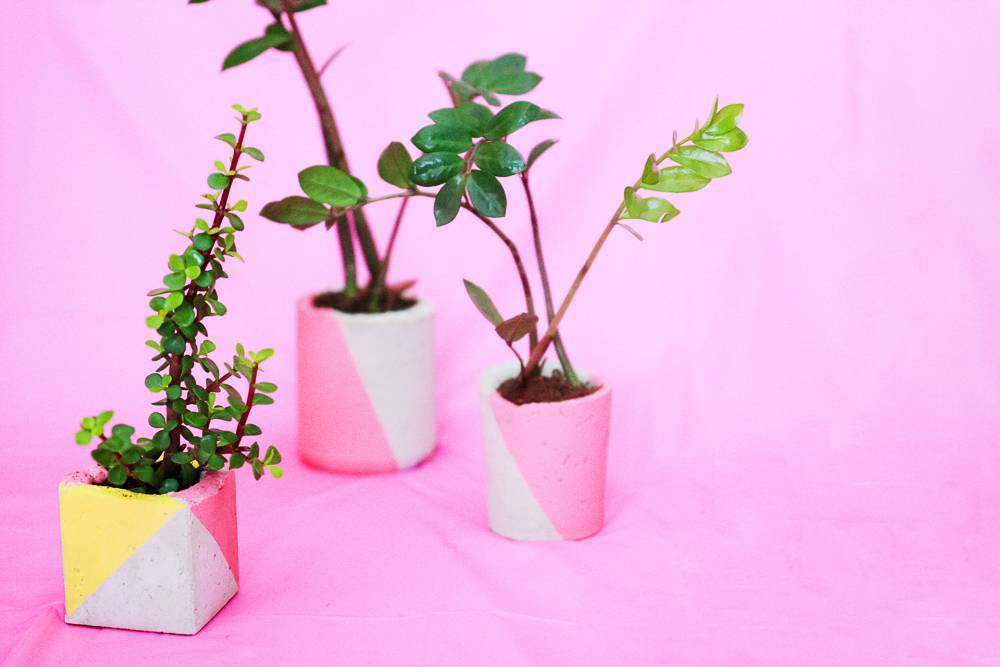 23 Fantastic Concrete Projects For Your Backyard