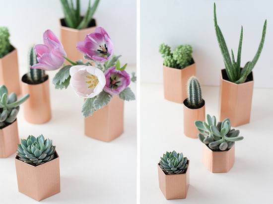 A variety of succulents in geometric planters.