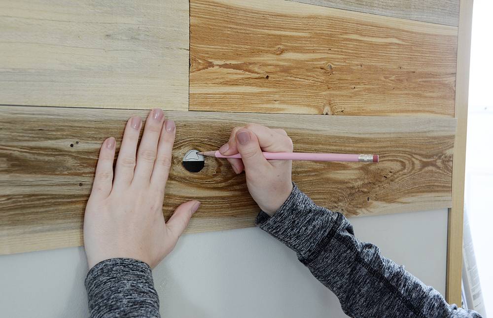 Phasellus auctor, libero ut luctus consequat, lacus lacus lobortis felis, quis commodo nunc sem nec turpis.