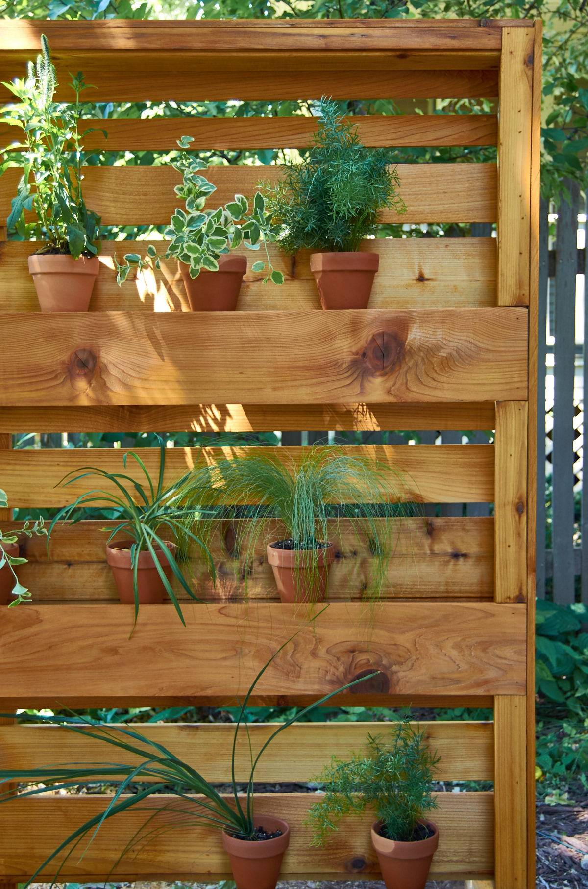 Potted plants are in the wooden shelf in the garden.