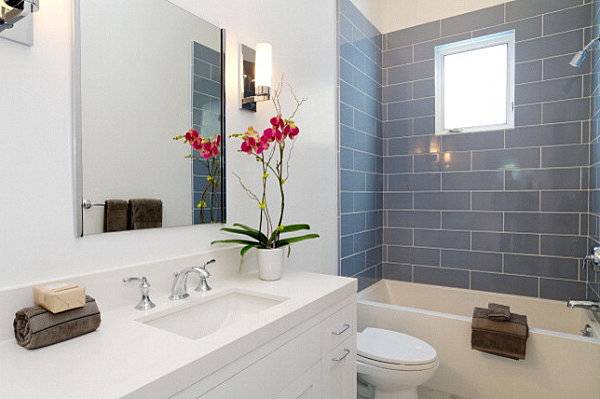 10 Gorgeous Bathroom-Friendly Plants (With Pictures!)