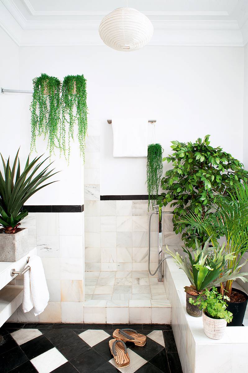 A bathroom with a black and white floor and greenery everywhere.