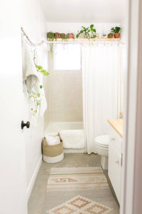 A white bathroom has plants lined across the ceiling.
