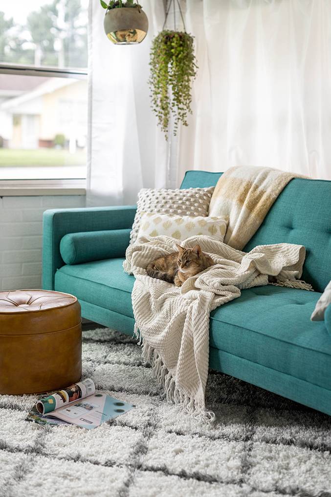 Beautiful living room with bright light window