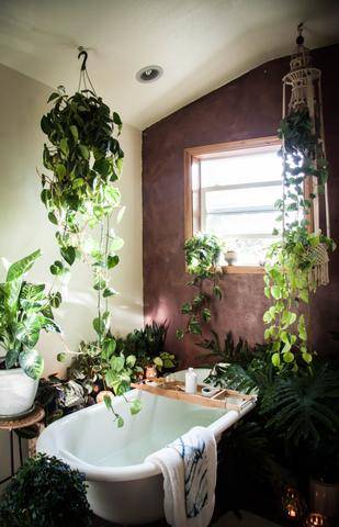 A claw bathtub in a bathroom full of live plants.