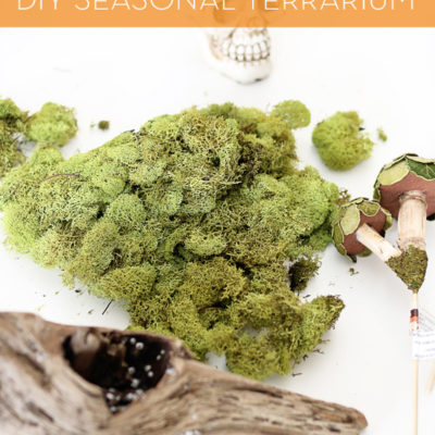 DIY Seasonal Terrarium | Hello Lidy for Curbly