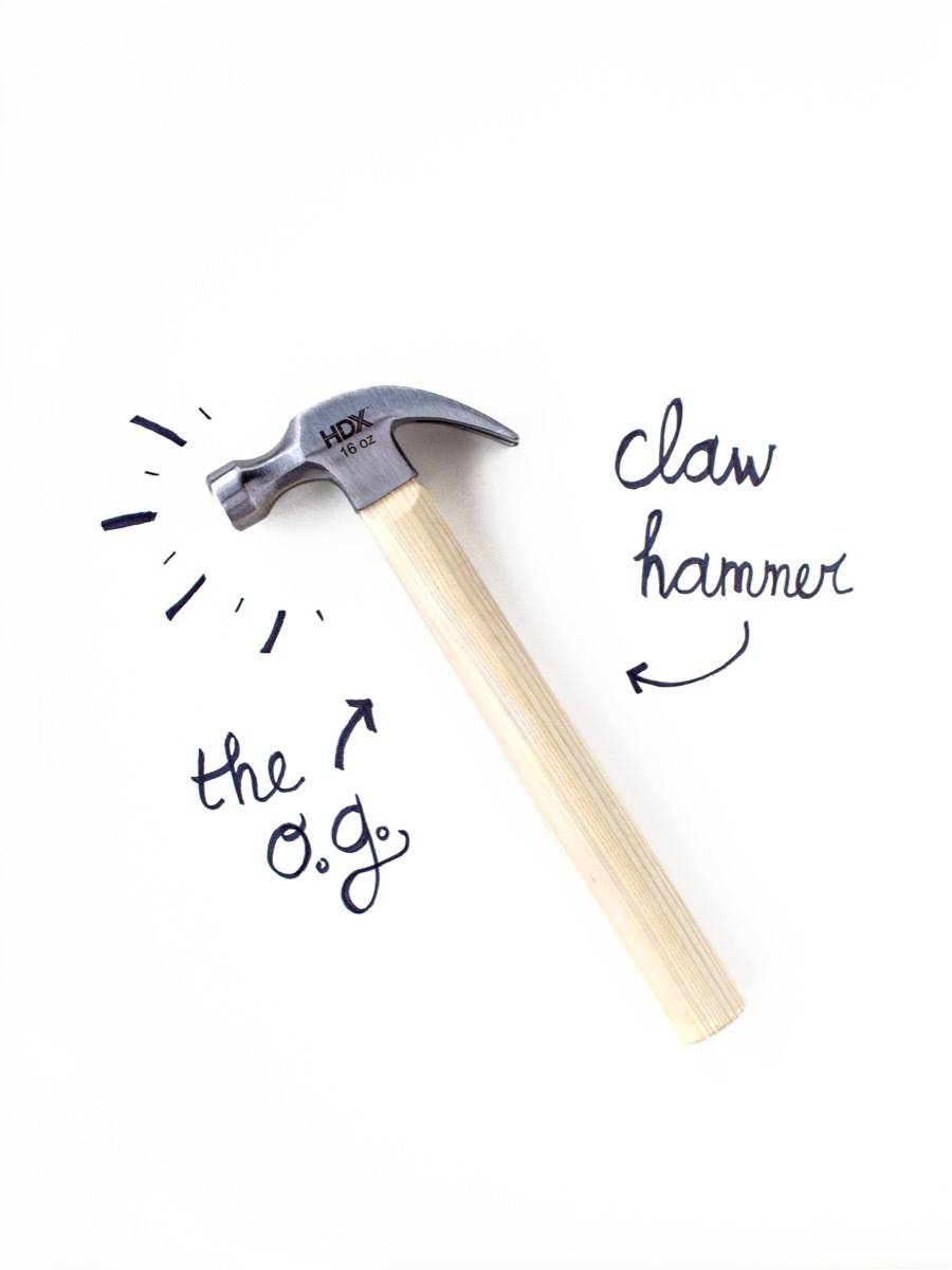 A Beginner's Guide to Hammers | The Claw Hammer