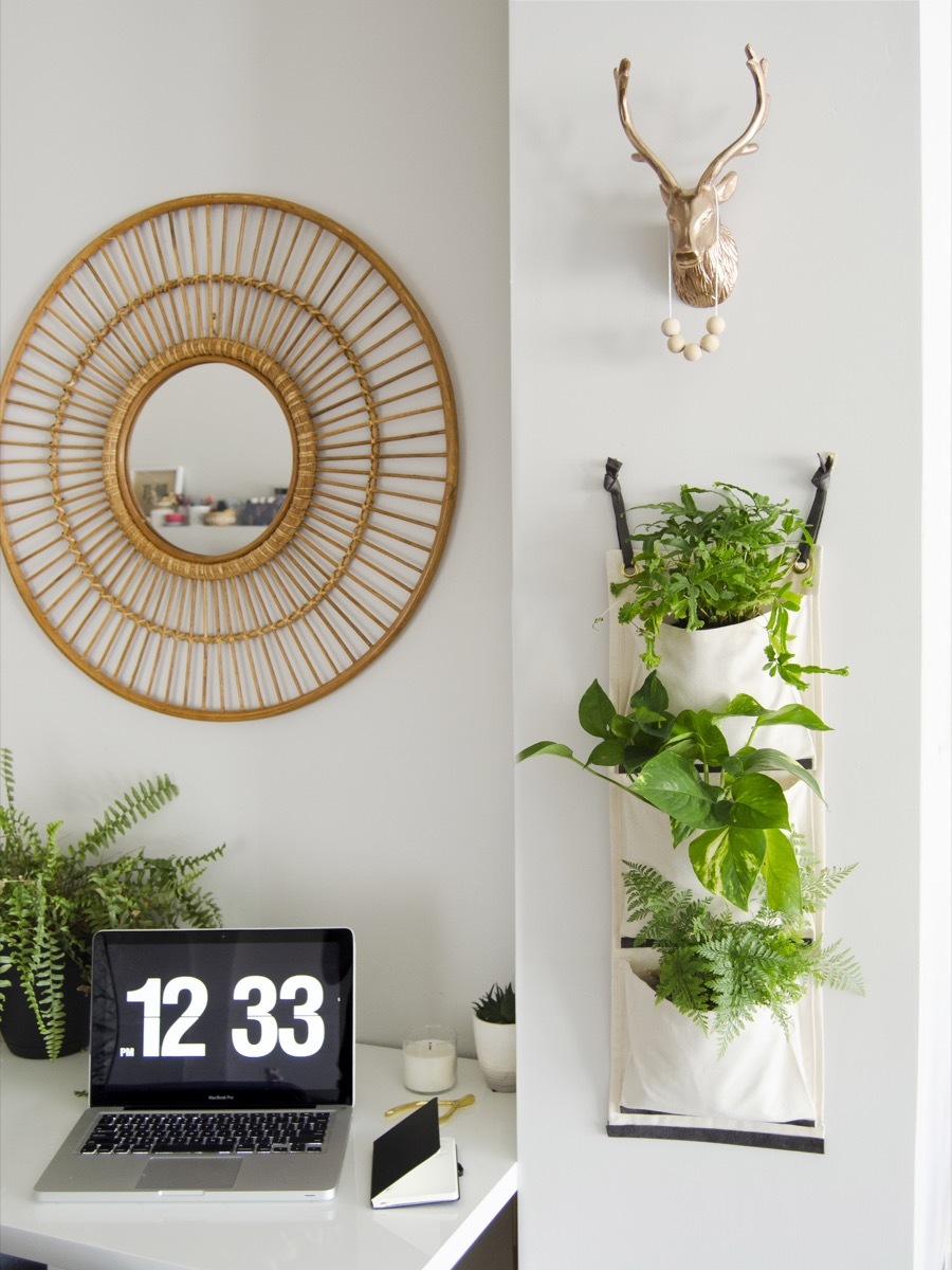 DIY hanging fabric planter to organize your indoor greenery