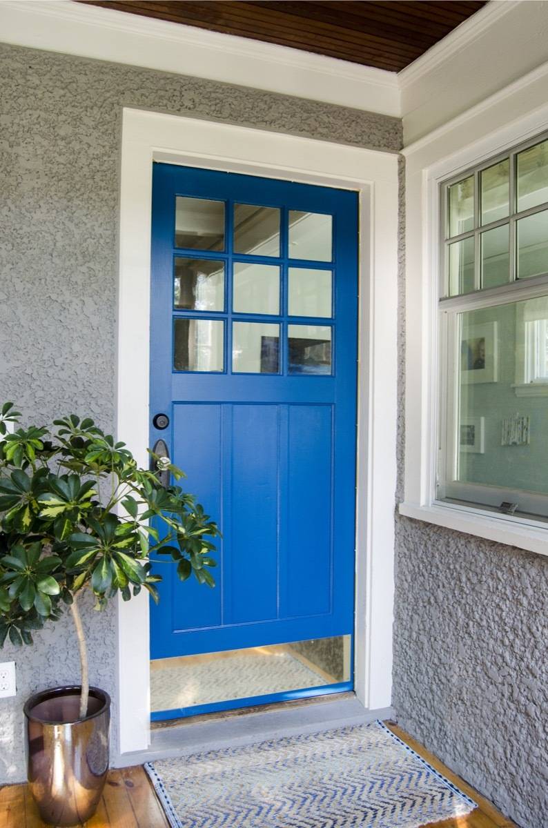 A blue door is set near a plant.
