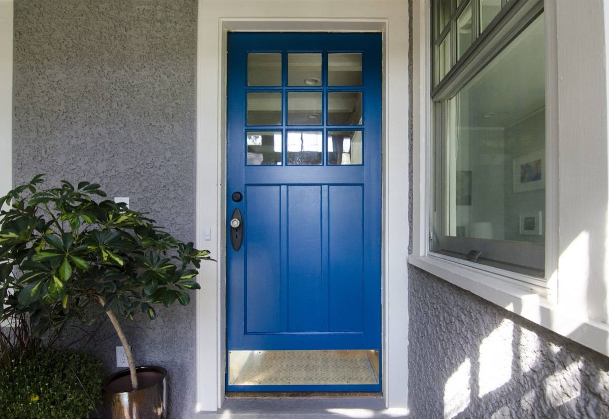 Blue color painted front door with plant aside of the door.