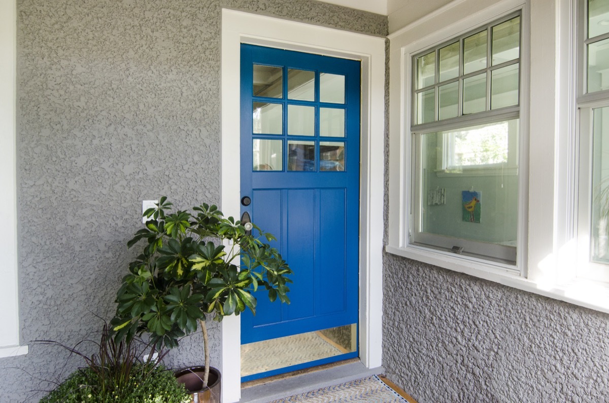 Cobalt blur front house door, next to some outdoor plants.