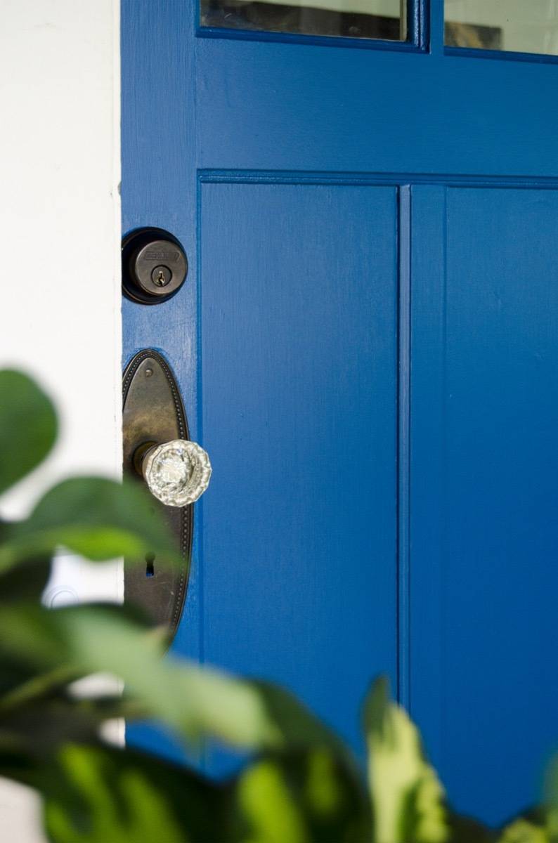 A blue door with a black handle behind a green bush