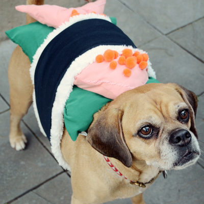 DIY Sushi Halloween Costume For Your Dog